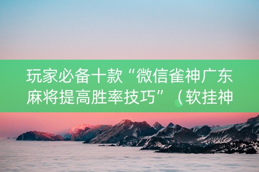 玩家必备十款“微信雀神广东麻将提高胜率技巧”（软挂神器)