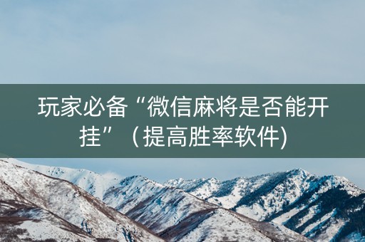 玩家必备“微信麻将是否能开挂”（提高胜率软件)