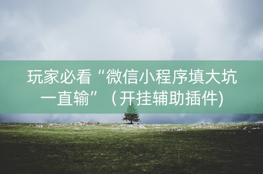 玩家必看“微信小程序填大坑一直输”（开挂辅助插件)