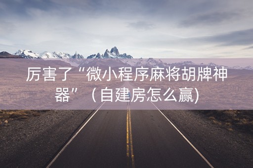 厉害了“微小程序麻将胡牌神器”（自建房怎么赢)
