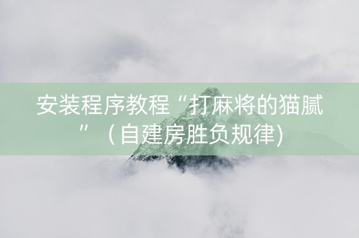 安装程序教程“打麻将的猫腻”（自建房胜负规律)