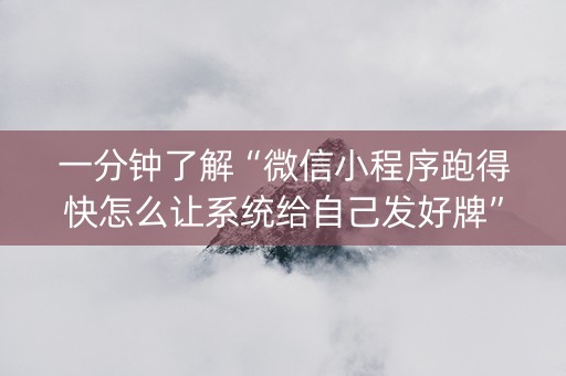 一分钟了解“微信小程序跑得快怎么让系统给自己发好牌”（透明挂辅助器)