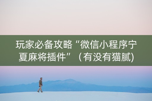 玩家必备攻略“微信小程序宁夏麻将插件”（有没有猫腻)