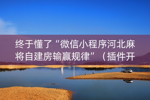 终于懂了“微信小程序河北麻将自建房输赢规律”（插件开挂免费AI)