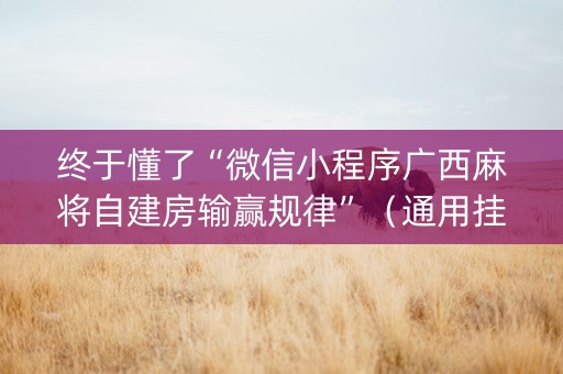 终于懂了“微信小程序广西麻将自建房输赢规律”（通用挂软件多少钱)