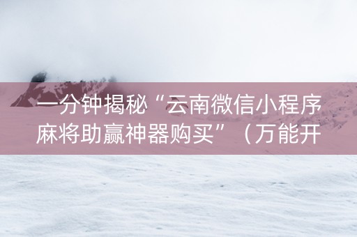 一分钟揭秘“云南微信小程序麻将助赢神器购买”（万能开挂器)