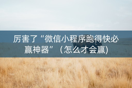 厉害了“微信小程序跑得快必赢神器”（怎么才会赢)