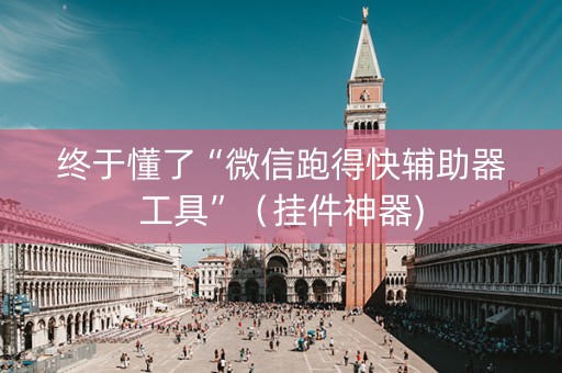 终于懂了“微信跑得快辅助器工具”（挂件神器)