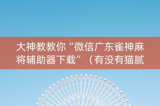 大神教教你“微信广东雀神麻将辅助器下载”（有没有猫腻)