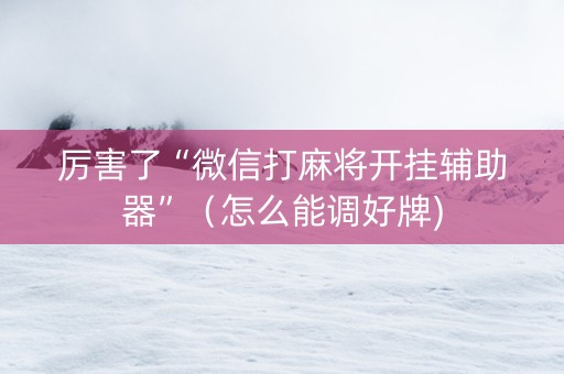 厉害了“微信打麻将开挂辅助器”（怎么能调好牌)