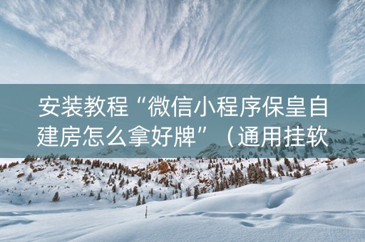 安装教程“微信小程序保皇自建房怎么拿好牌”（通用挂软件多少钱)