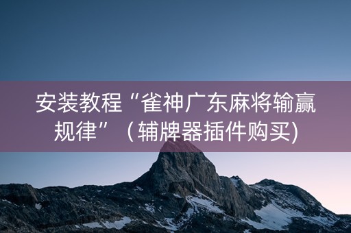 安装教程“雀神广东麻将输赢规律”（辅牌器插件购买)
