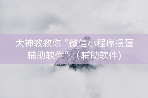 大神教教你“微信小程序掼蛋辅助软件”（辅助软件)