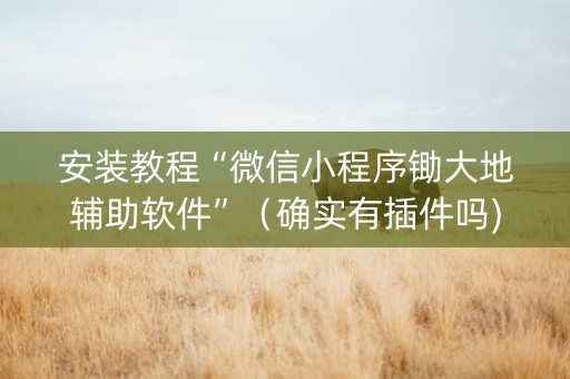 安装教程“微信小程序锄大地辅助软件”（确实有插件吗)