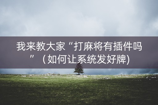 我来教大家“打麻将有插件吗”（如何让系统发好牌)