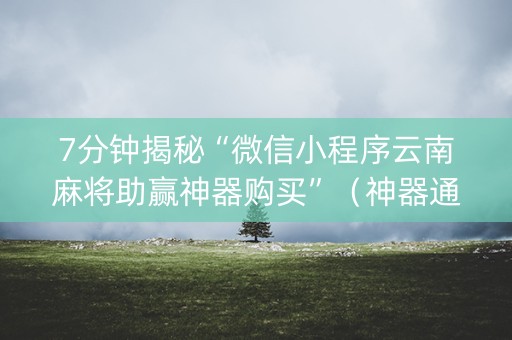 7分钟揭秘“微信小程序云南麻将助赢神器购买”（神器通用版)