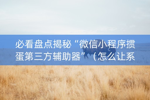 必看盘点揭秘“微信小程序掼蛋第三方辅助器”（怎么让系统给你发好牌)