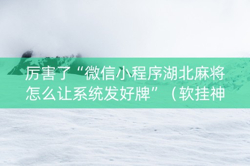 厉害了“微信小程序湖北麻将怎么让系统发好牌”（软挂神器)