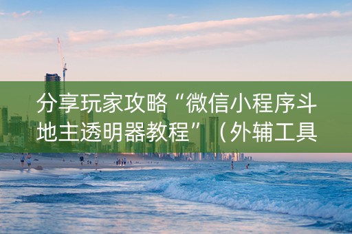 分享玩家攻略“微信小程序斗地主透明器教程”（外辅工具)