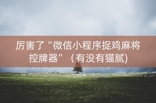 厉害了“微信小程序捉鸡麻将控牌器”（有没有猫腻)