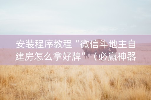 安装程序教程“微信斗地主自建房怎么拿好牌”（必赢神器)
