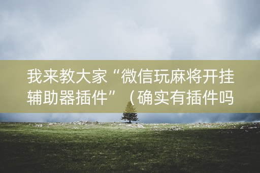 我来教大家“微信玩麻将开挂辅助器插件”（确实有插件吗)