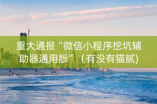 重大通报“微信小程序挖坑辅助器通用版”（有没有猫腻)