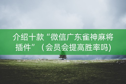 介绍十款“微信广东雀神麻将插件”（会员会提高胜率吗)