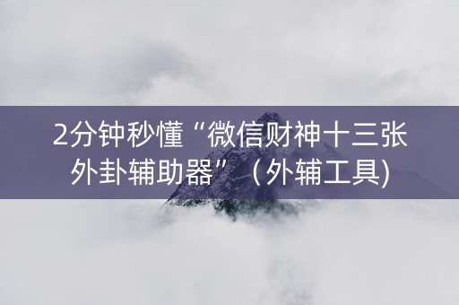 2分钟秒懂“微信财神十三张外卦辅助器”（外辅工具)