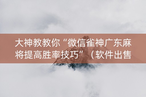 大神教教你“微信雀神广东麻将提高胜率技巧”（软件出售)