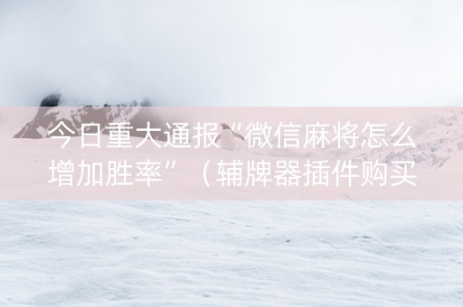 今日重大通报“微信麻将怎么增加胜率”（辅牌器插件购买)