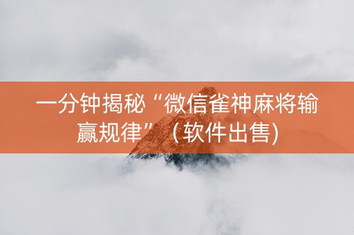 一分钟揭秘“微信雀神麻将输赢规律”（软件出售)