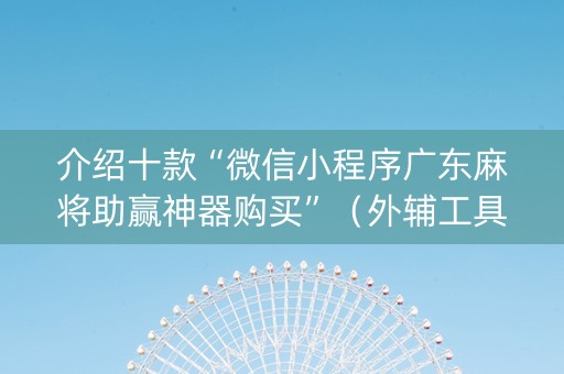 介绍十款“微信小程序广东麻将助赢神器购买”（外辅工具)