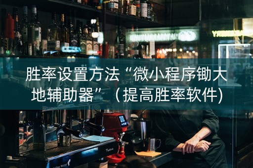胜率设置方法“微小程序锄大地辅助器”（提高胜率软件)