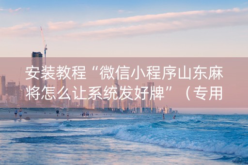 安装教程“微信小程序山东麻将怎么让系统发好牌”（专用神器)