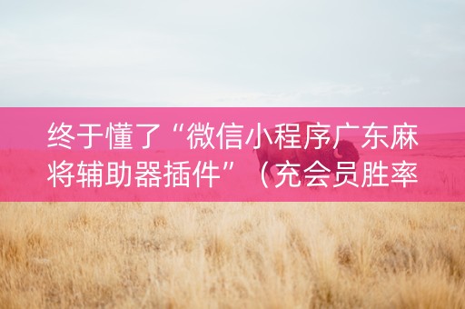 终于懂了“微信小程序广东麻将辅助器插件”（充会员胜率高)