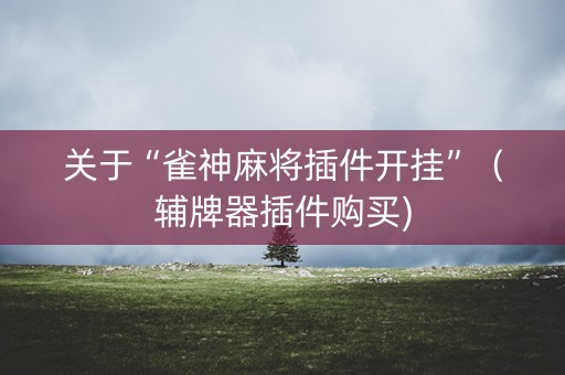 关于“雀神麻将插件开挂”（辅牌器插件购买)