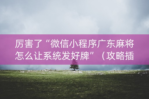 厉害了“微信小程序广东麻将怎么让系统发好牌”（攻略插件)