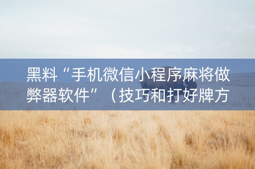 黑料“手机微信小程序麻将做弊器软件”（技巧和打好牌方法)