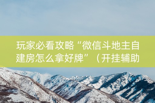 玩家必看攻略“微信斗地主自建房怎么拿好牌”（开挂辅助插件)