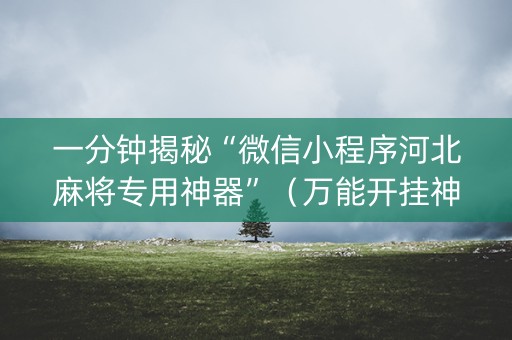 一分钟揭秘“微信小程序河北麻将专用神器”（万能开挂神器)