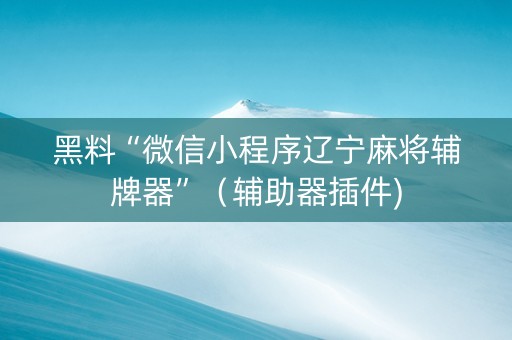 黑料“微信小程序辽宁麻将辅牌器”（辅助器插件)