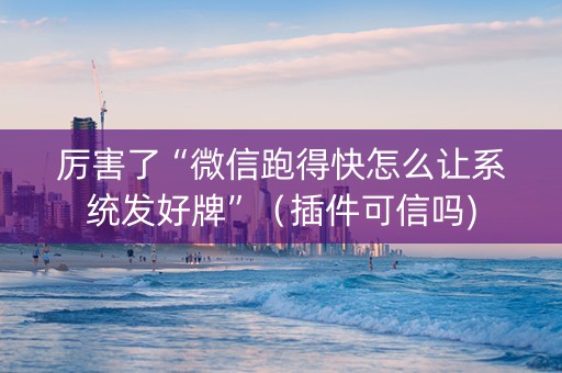 厉害了“微信跑得快怎么让系统发好牌”（插件可信吗)