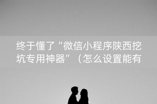 终于懂了“微信小程序陕西挖坑专用神器”（怎么设置能有好牌)