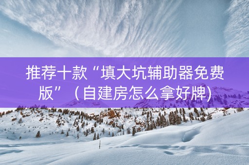 推荐十款“填大坑辅助器免费版”（自建房怎么拿好牌)