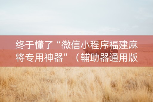 终于懂了“微信小程序福建麻将专用神器”（辅助器通用版)