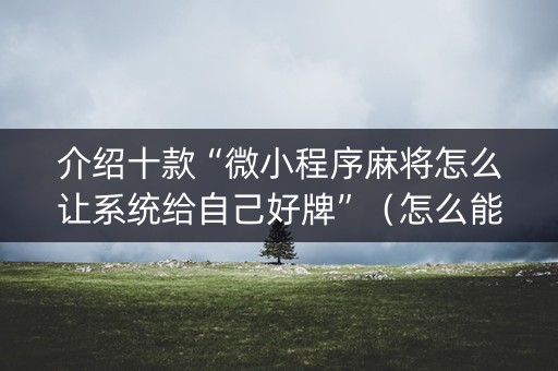 介绍十款“微小程序麻将怎么让系统给自己好牌”（怎么能得到好牌)