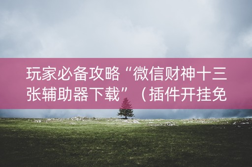玩家必备攻略“微信财神十三张辅助器下载”（插件开挂免费AI)