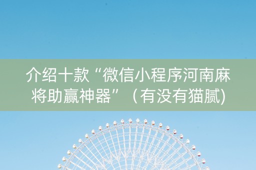 介绍十款“微信小程序河南麻将助赢神器”（有没有猫腻)