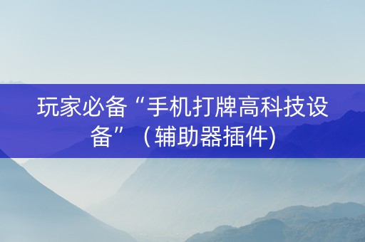 玩家必备“手机打牌高科技设备”（辅助器插件)